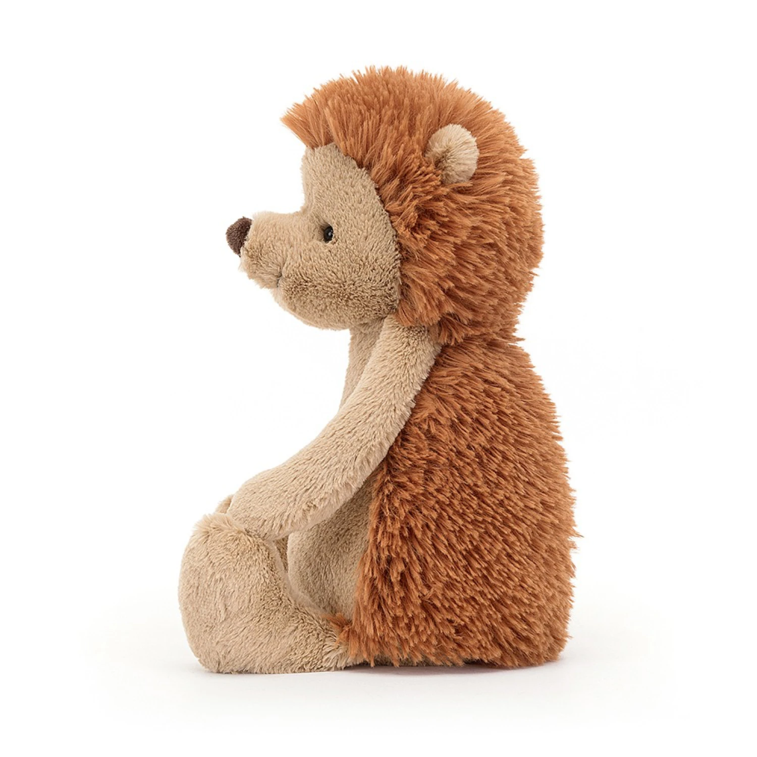 Jellycat - Bashful Hedgehog Original - Medium 4 Jellycat - Bashful Hedgehog Original - Medium - Image 2